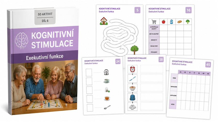 DÍL 6 — Exekutivní funkce